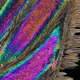 Image for article titled Parasites, deadly bugs and fungi are more beautiful than you could possibly imagine